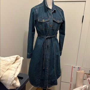 Stylish Denim Button-Up dress Frye size small